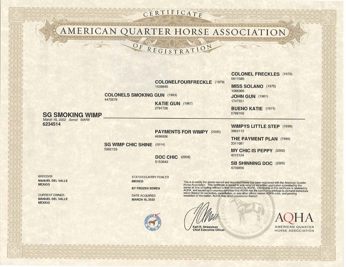 SG SMOKING WYMP - Imagen 5